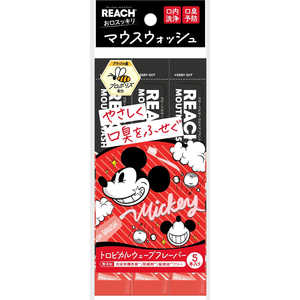銀座ステファニー リーチ マウスウォッシュ トロピカルウェーブの香り(ディズニー)11mL×5本入 銀座ステファニー リーチ マウスウォッシュ トロピカルウェーブの香り(ディズニー)11mL×5本入