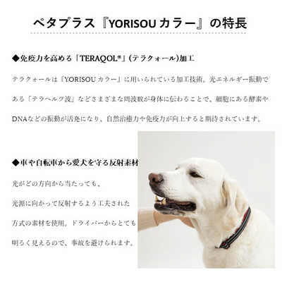 アレス　コロバニィ ペタプラス 犬用首輪 YORISOUカラー レッド S 首周り23-35cm 内容量1本　60163S コロバニィ ペタプラス PETAPLUS