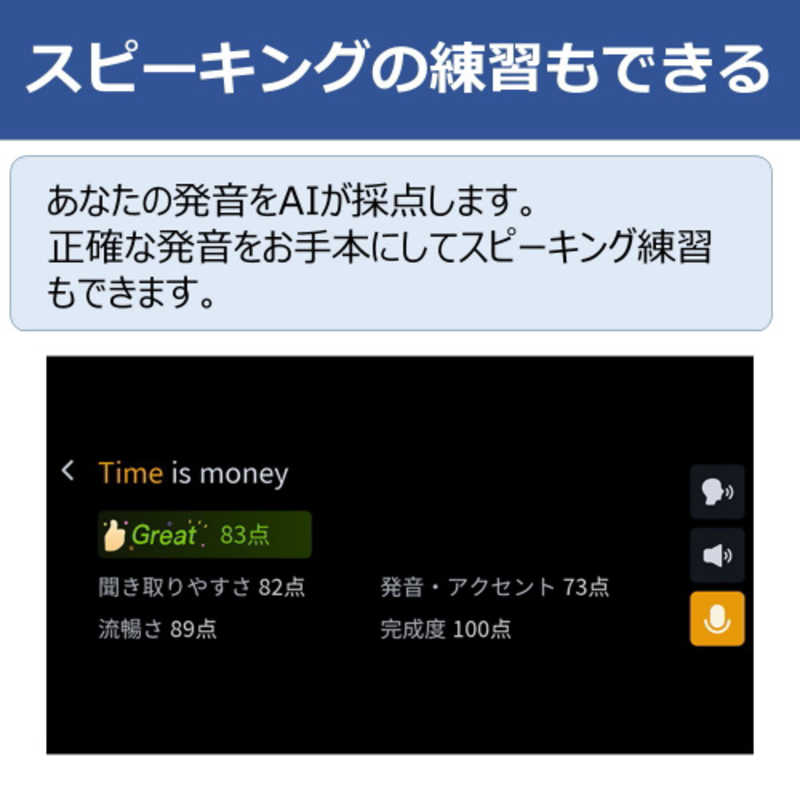 IFLYTEK IFLYTEK iFLYTEK Smart Dictionary Pen ペン型スキャナー辞書 英語学習 スピーキング練習可 DICTIONARYPEN DICTIONARYPEN