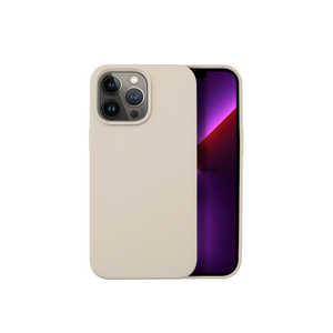 shizukawill iPhone 13 Pro Max RbgLfB VR P[X Shizukawill APIP13PMFC1BE