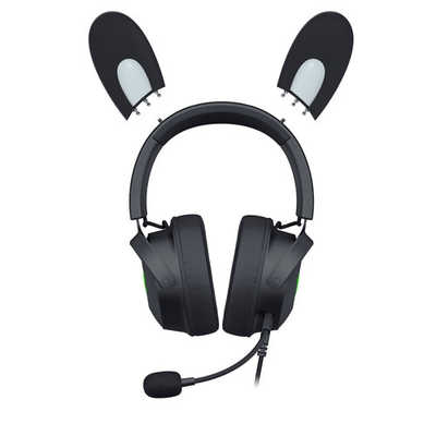 RAZER ゲーミングヘッドセット RAZER Black ［USB /両耳 /ヘッド