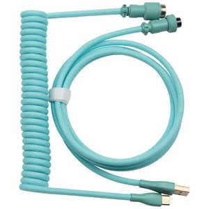 GRAPHT コイルケーブル USB TypeC-A (ライトグリーン) GRT053-LGR-ONE GRAPHT コイルケーブル USB TypeC-A (ライトグリーン) GRT053-LGR-ONE