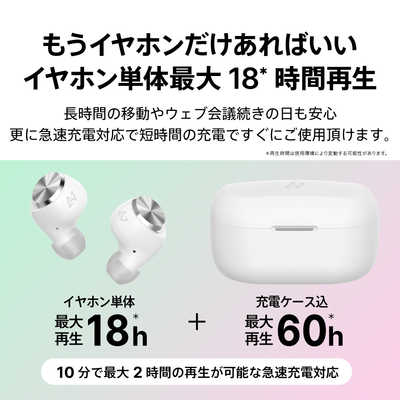 AVIOT フルワイヤレスイヤホン ノイズキャンセリング対応 マイク