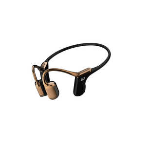 AVIOT Ƴۥ bronze gold [ ޥ б / Ƴ / Bluetooth ] WB-E1-GL
