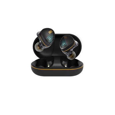 AVIOT ブルートゥースイヤホン ブラック [ マイク 対応 / ワイヤレス