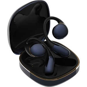 AVIOT フルワイヤレスイヤホン [ ワイヤレス ( 左右分離 ) / Bluetooth 対応 ] TE-H1-NV