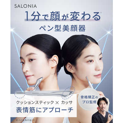 サロニア SALONIA フェイスカレントポインター SAL25320SL の通販