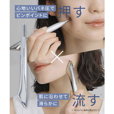サロニア SALONIA フェイスカレントポインター SAL25320SL の通販
