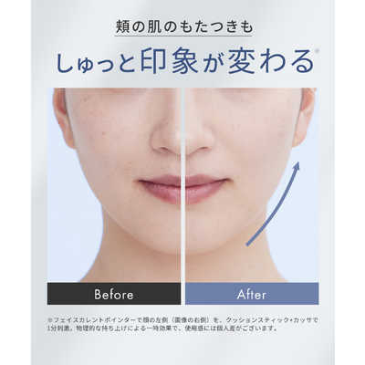 サロニア SALONIA フェイスカレントポインター SAL25320SL の通販