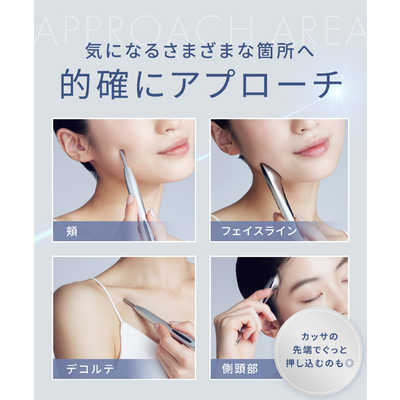サロニア SALONIA フェイスカレントポインター SAL25320SL の通販