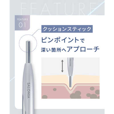 サロニア SALONIA フェイスカレントポインター SAL25320SL の通販