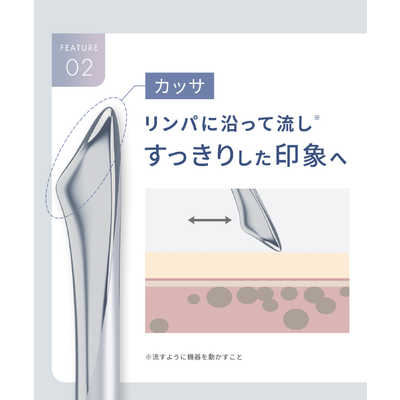 サロニア SALONIA フェイスカレントポインター SAL25320SL の通販