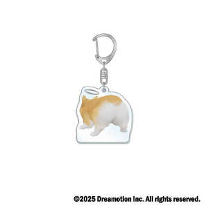 My Little Puppy」の人気商品一覧・価格比較 - 価格.com