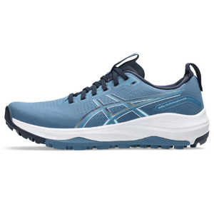 アシックス ゴルフシュ－ズ GEL-KAYANO ACE 3 ［メンズ / 25.5cm / 幅：Medium(EE相当)］ WINTER SEA/MIDNIGHT 1111A265