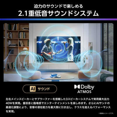 ハイセンス MiniLED 液晶テレビ [ 65V型 / 4Kチューナー内蔵 / YouTube