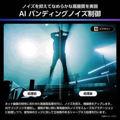 ハイセンス MiniLED 液晶テレビ [ 65V型 / 4Kチューナー内蔵 / YouTube