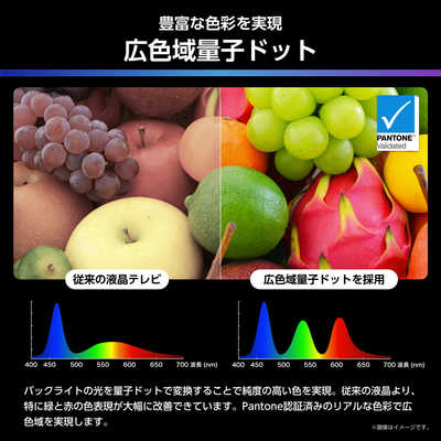 ハイセンス 液晶テレビ [ 55V型 / 4Kチューナー内蔵 / YouTube 対応