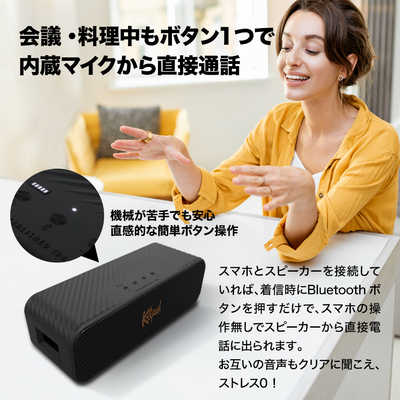 KLIPSCH Klipsch Detroit Bluetoothスピーカー 大型 パッシブ