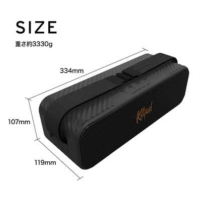 KLIPSCH Klipsch Detroit Bluetoothスピーカー 大型 パッシブ