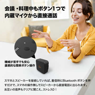KLIPSCH Klipsch Austin Bluetoothスピーカー IP67 防水 防塵 取り付け