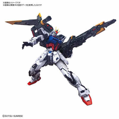 バンダイスピリッツ BANDAI SPIRITS PG 1/60 パｰフェクト