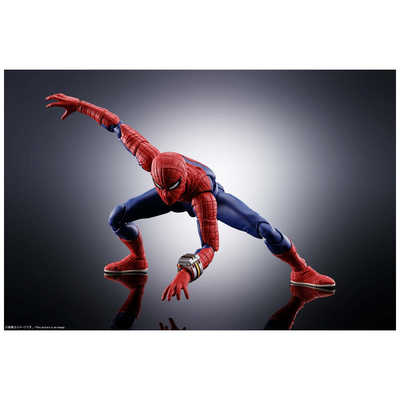 S.H.Figuarts アイアンスパイダー＆スパイダーマン 2体セット