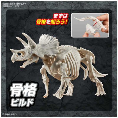 バンダイスピリッツ BANDAI SPIRITS プラノサウルス トリケラトプス の