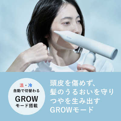 A-STAGE Re・De Hairdry＋ ヘアドライヤー ヒュッケグレー DR02A-HG の
