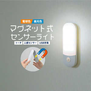 大河商事 充電式LEDセンサーライト wasser95