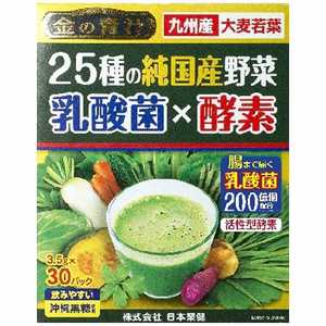 日本薬健 25種の純国産野菜 乳酸菌×酵素 105g (3.5g×30パック)  