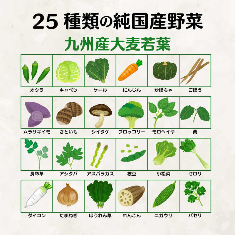 日本薬健 日本薬健 金の青汁25種の国産野菜　60包  