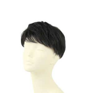 プリシラ 男性用5分ウィッグ レイヤーショート GB-22 TBK/耐熱ブラック プリシラ 男性用5分ウィッグ レイヤーショート GB-22 TBK/耐熱ブラック