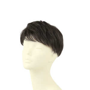 プリシラ 男性用5分ウィッグ レイヤーショート GB-22 TCK/耐熱ショコラブラック プリシラ 男性用5分ウィッグ レイヤーショート GB-22 TCK/耐熱ショコラブラック