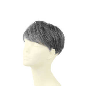 プリシラ 男性用5分ウィッグ レイヤーショート GB-22 TDGH/耐熱ダークグレイヘ プリシラ 男性用5分ウィッグ レイヤーショート GB-22 TDGH/耐熱ダークグレイヘ