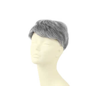 プリシラ 男性用5分ウィッグ レイヤーショート GB-22 TGH/耐熱グレイヘア プリシラ 男性用5分ウィッグ レイヤーショート GB-22 TGH/耐熱グレイヘア
