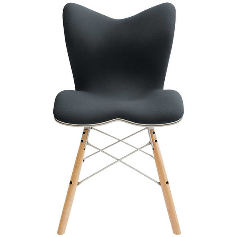MTG MTG 姿勢サポートシート Style Chair PM / スタイル チェア ピーエム ブラック YS-AZ-03A YS-AZ-03A