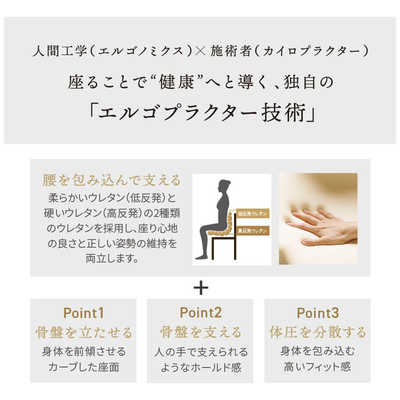 MTG｜エムティージー 姿勢サポートシート Style Chair PM style_chair_pm_flick.jpg