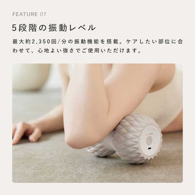 SIXPAD Power Roller (シックスパッド パワーローラー) [CONCENT