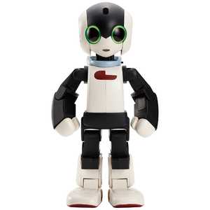DMM.COM DMM.make ROBOTS [Robi 動きや声､仕草がとっても愛くるしいロボット] RBHM0000000545731927