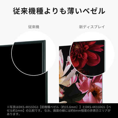 専用DMM.make モニター ディスプレイ DKS-4K55DG3美品最安値 DMM.COM