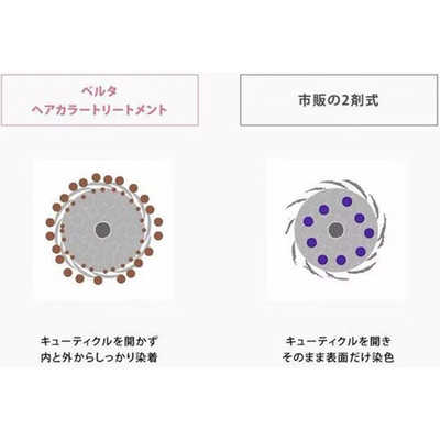 BELTA ベルタヘアカラートリートメント　ダークブラウン 公式】ベルタヘアカラートリートメント｜美容師監修の白髪染め