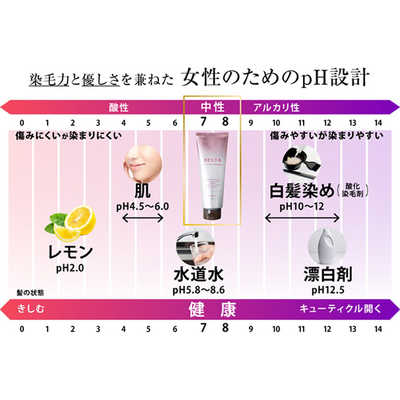 BELTA BELTA(ベルタ)ベルタヘアカラートリートメント 200g
