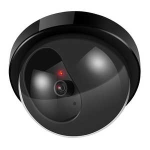 トレードワン セキュリティダミーカメラ ドーム型 ブラック 30953 トレードワン セキュリティダミーカメラ ドーム型 ブラック 30953