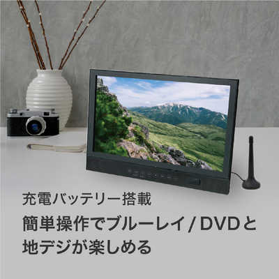 高橋国際商事 BLUEWIDE 14インチ フルセグチューナー搭載ポータブル