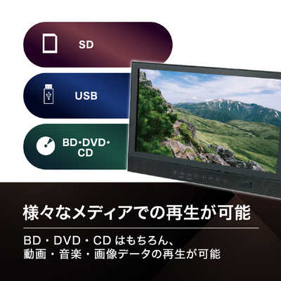 高橋国際商事 BLUEWIDE 14インチ フルセグチューナー搭載ポータブル