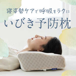 アメイズプラス AS快眠枕2 高さ調整パッド付 ベーシック 枕 いびき防止 su-zi AZ-531 アメイズプラス AS快眠枕2 高さ調整パッド付 ベーシック 枕 いびき防止 su-zi AZ-531