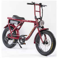 ROCKAFLAME 電動アシスト自転車 20インチ New MAKAMI (ニューマカミ