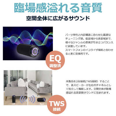 FORTIES Bluetoothスピーカー 40s ブラック 防水 CW1L の通販