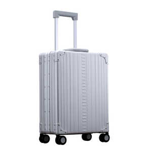 ネオキーパー スーツケース シルバー [TSAロック搭載 /31L /2泊～3泊] A31VF-SL