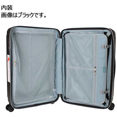 【美品】ワールドトラベラー ACE スーツケース マイルズ シルバー 拡張機能付 ACE スーツケース World Traveler マイルズ 30L(40L) TSAロック